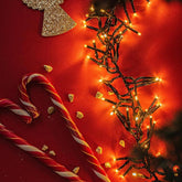 Salcar 5/10/15/23/40/60/80/100m Lichterkette, 50/150/220/360/640/1000/1330/1660 LEDs, 31V GS-zertifizierte Stromversorgung